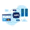 API Integration for Existing Software
